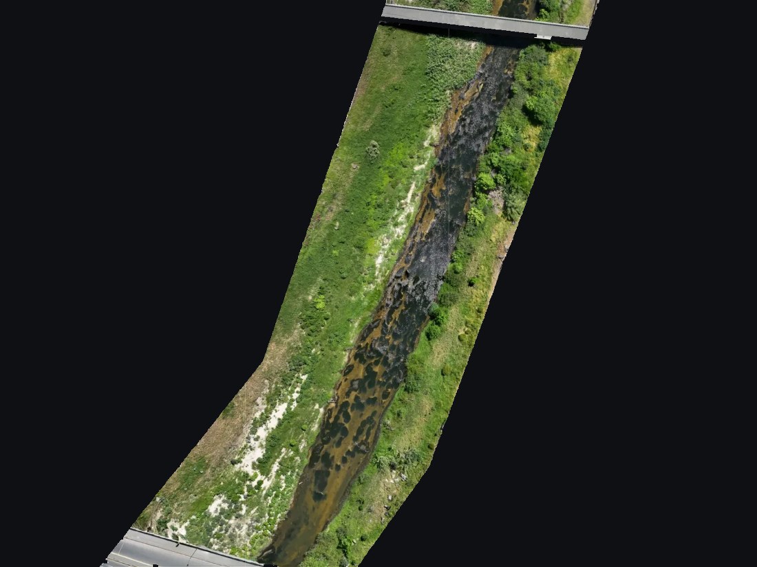 Orthomosaic base map of the full surveyed stream section, from one road crossing to the next